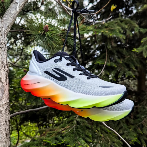 Gray running shoe with colorful sole hanging from a tree branch